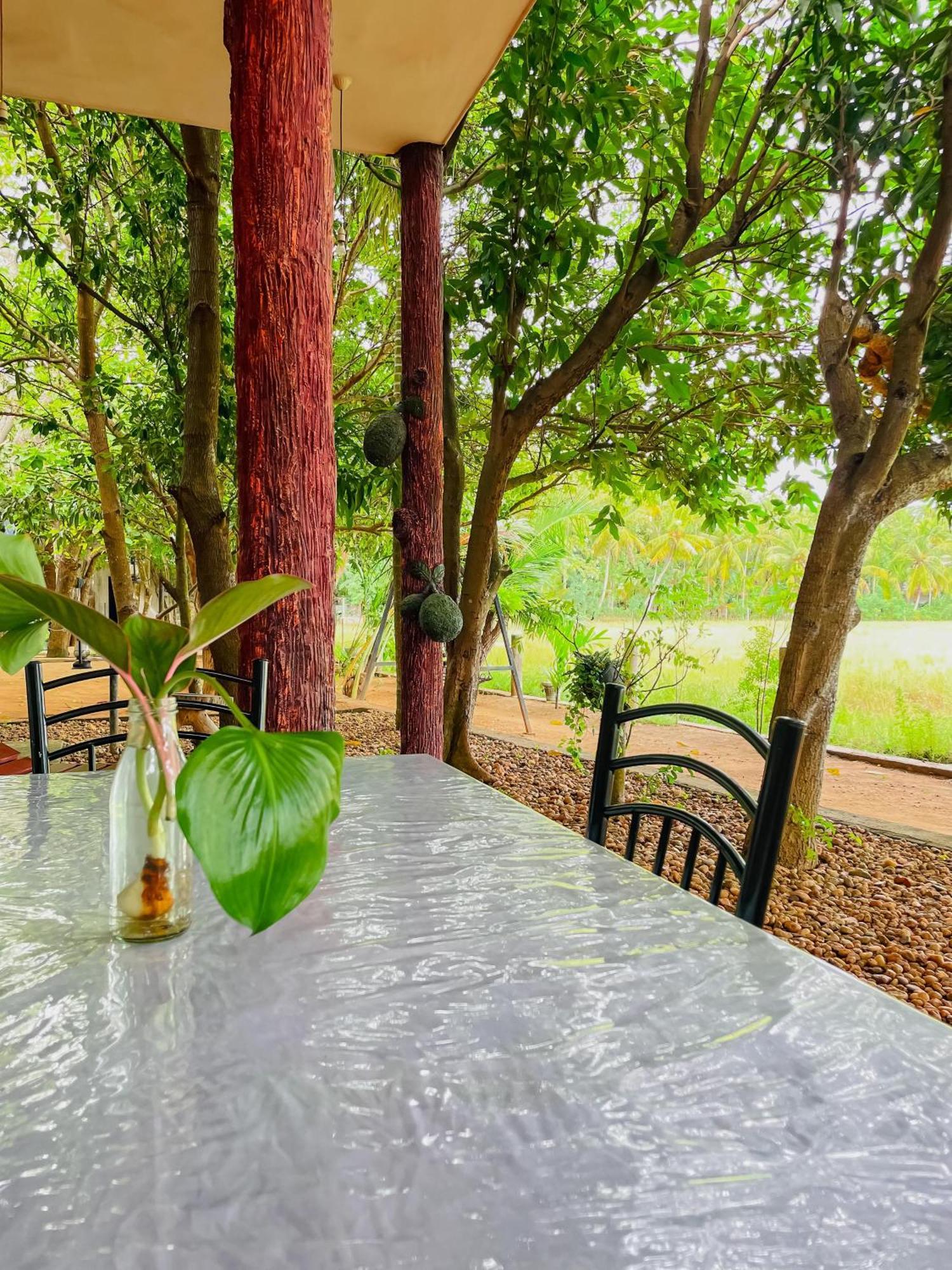 V Cabanas & Yala Safari Place Tissamaharama Eksteriør bilde