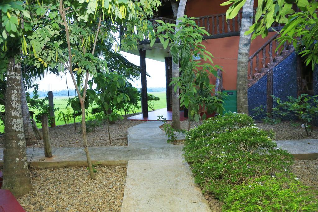V Cabanas & Yala Safari Place Tissamaharama Eksteriør bilde